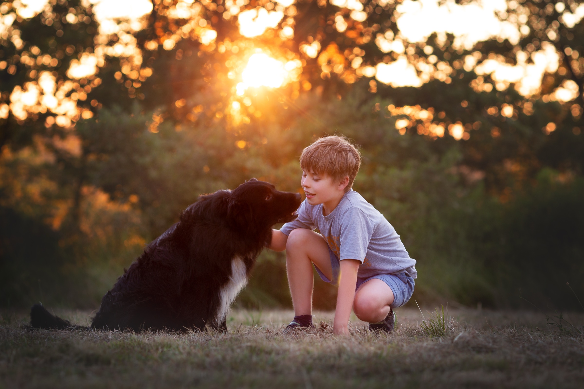 Kind und Hund im Abendlicht — Hundeschule Canoidea